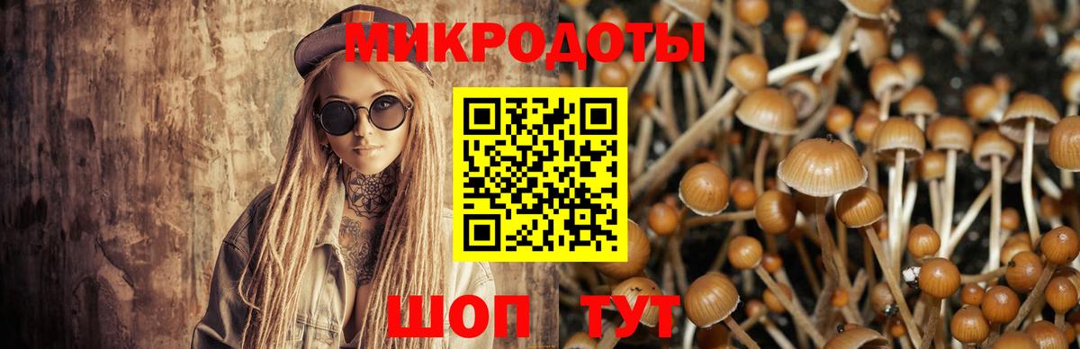 Галлюциногенные грибы Psilocybine cubensis  Вход с VPN  Псилоцибиновые грибы Psilocybine cubensis  Лангепас 