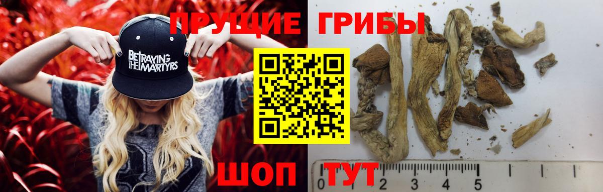 Галлюциногенные грибы ЛСД Лангепас